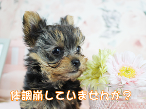 今日から１１月です！